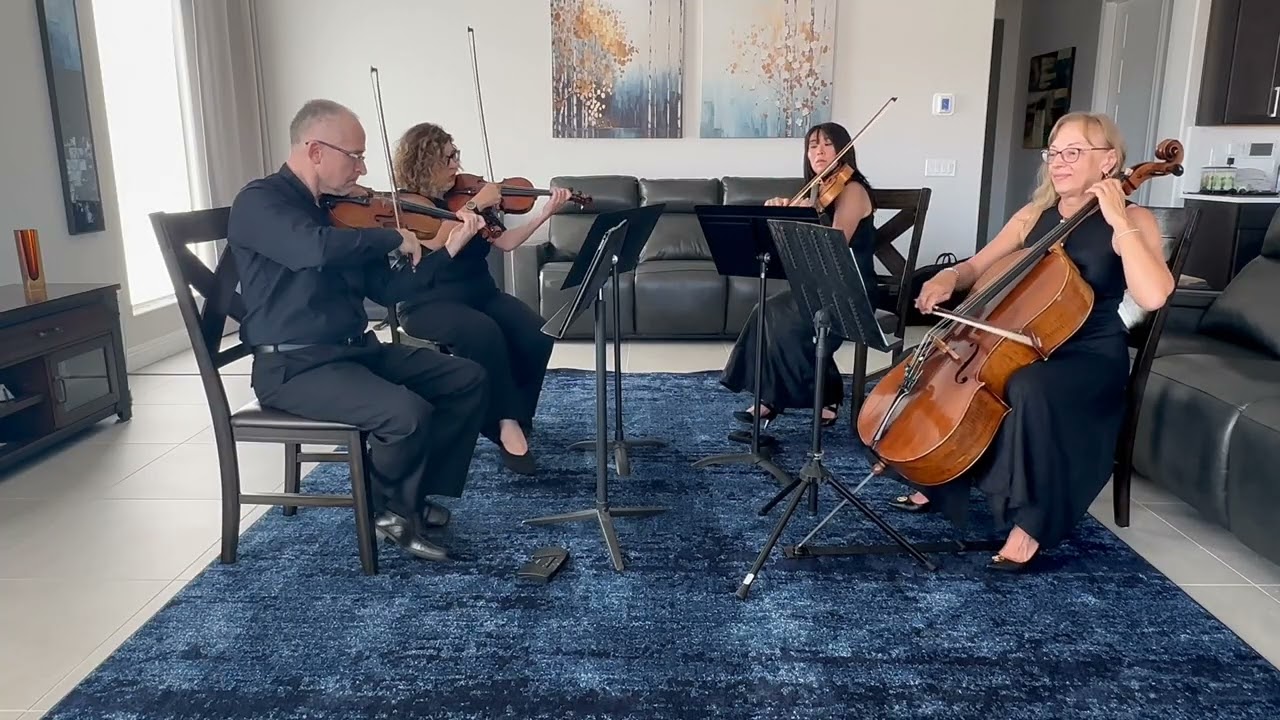 Promotional video thumbnail 4 for Avanti Strings