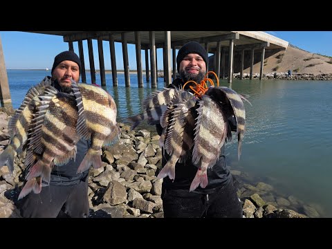 Bridge Fishing for Sheepshead (Catch and Cook) Corpus Christi TX 