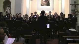 Coro Euphonios Concerto di Natale 2012.mov