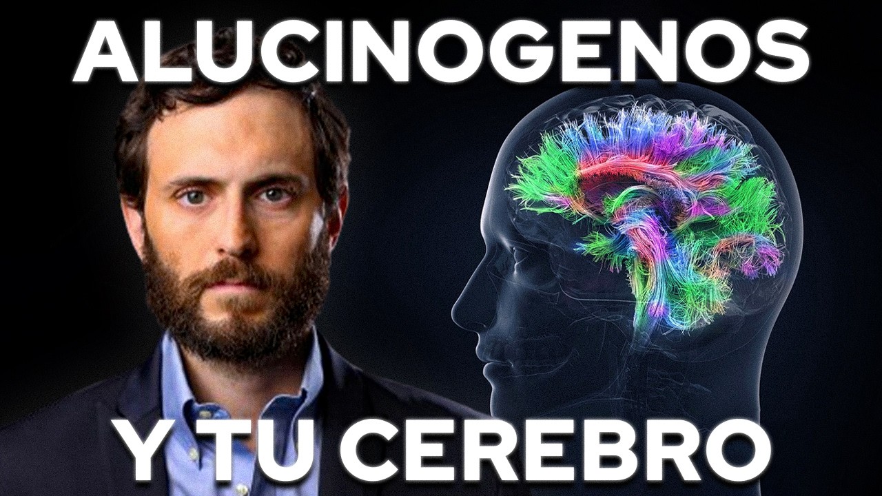This is How Hallucinogens Change Your Brain