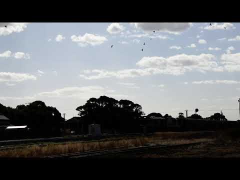 Freight Train (6PM9)