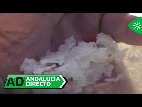 Andalucía Directo | Una salina que produce sal virgen extra, y flor de sal y las escamas
