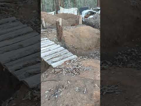 ARENA STALKER TRINCHEIRAS