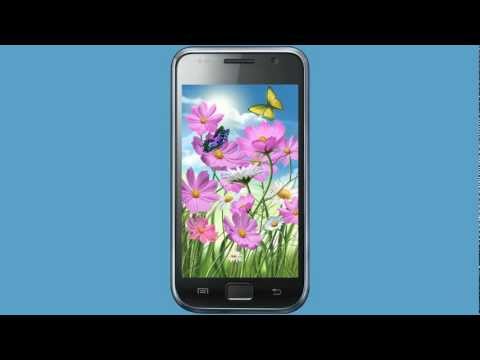 Flowers and Butterflies Summer Video