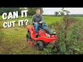 Brutally Cutting Crazy Tall Brush with the SOLO AL-KO T22-110 HDH Ride On Mower!