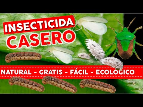 , title : '🔥100% NATURAL GRATIS y FACIL🐛 Insecticida Casero Para Plantas - Huerto y Jardin Ecológico'