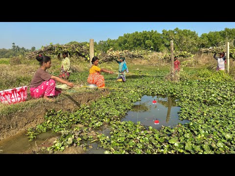 Fishing Video || Two beautiful lady fishing in the paddy field mud water canal using hooks || fish 