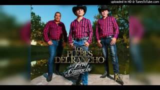 EL REY DE BRECHAS - LOS PLEBES DEL RANCHO DE ARIEL CAMACHO [PARTE DEL NUEVO DISCO]