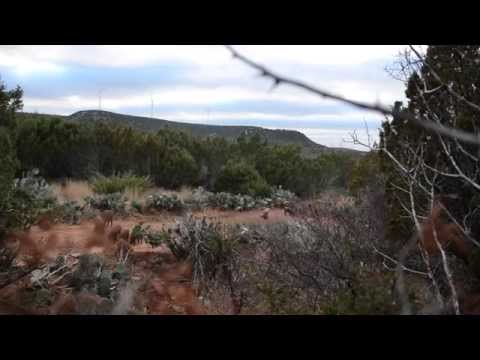 Hog Hunting Video | Los Plumas Ranch Texas Hog Hunting Video | Los Plumas Ranch Texas