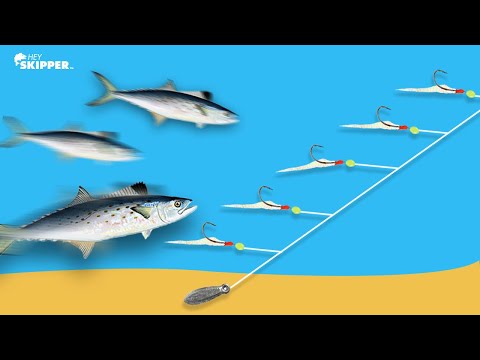 Catching Fish w/ NO BAIT!? (5 Hook Fishing Rig)
