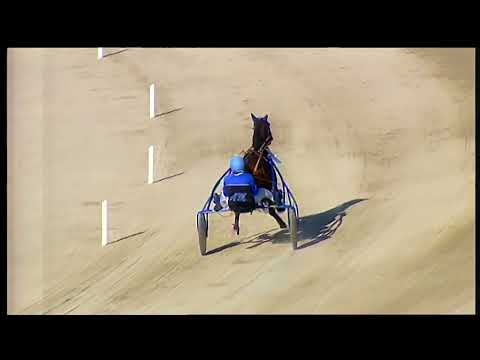 Napoli Trotto 01/10/2022 - 1ª prova di qualifica