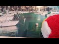 WHEre THE FISh S AT A Song By Potty The Parrot
