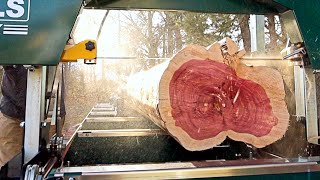 Milling Incredible Cedar Lumber for Our Front Porch! | Abandoned Shed to Tiny House