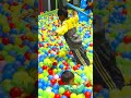 Jeevan Jyoti Students Having Fun At Thrill Factory Birgunj