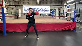 Combining Punches WITH FOOTWORK -