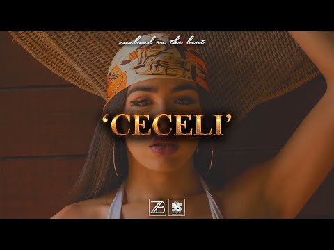 [FREE] Wizkid x Burna Boy x Fireboy DML | Afrobeat Instrumental - Type Beat "Ceceli"