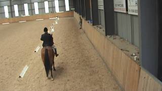 Telegram Sam at Kings Equestrian Centre