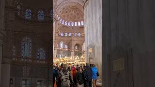 Cruise Shore Excursion In Istanbul Türkiye