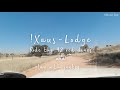 Driving Through The Kalahari Dunes Towards Xaus Lodge And Found Some Snakes