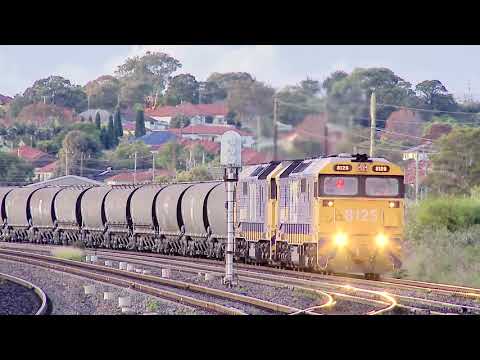 Grain Train With 81 Class Diesel Locomotives in NSW (6/6/2010) - PoathTV Australian Railroads