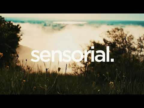 Maz BR, Antdot, Sued Nunes - Povoada Remix