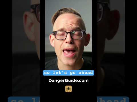 Can This App Identify a Dangerous Spider? thumbnail