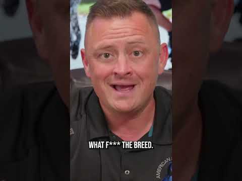 Is This the Shaolin Master of Dog Training?