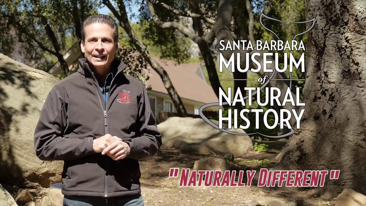 Santa Barbara Museum of Natural History