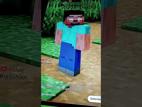 Minecraft on 1,000 ping when wither skeleton attack villagers. monster school minecraft Animation