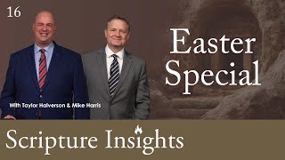 Scripture Insights video thumbnail