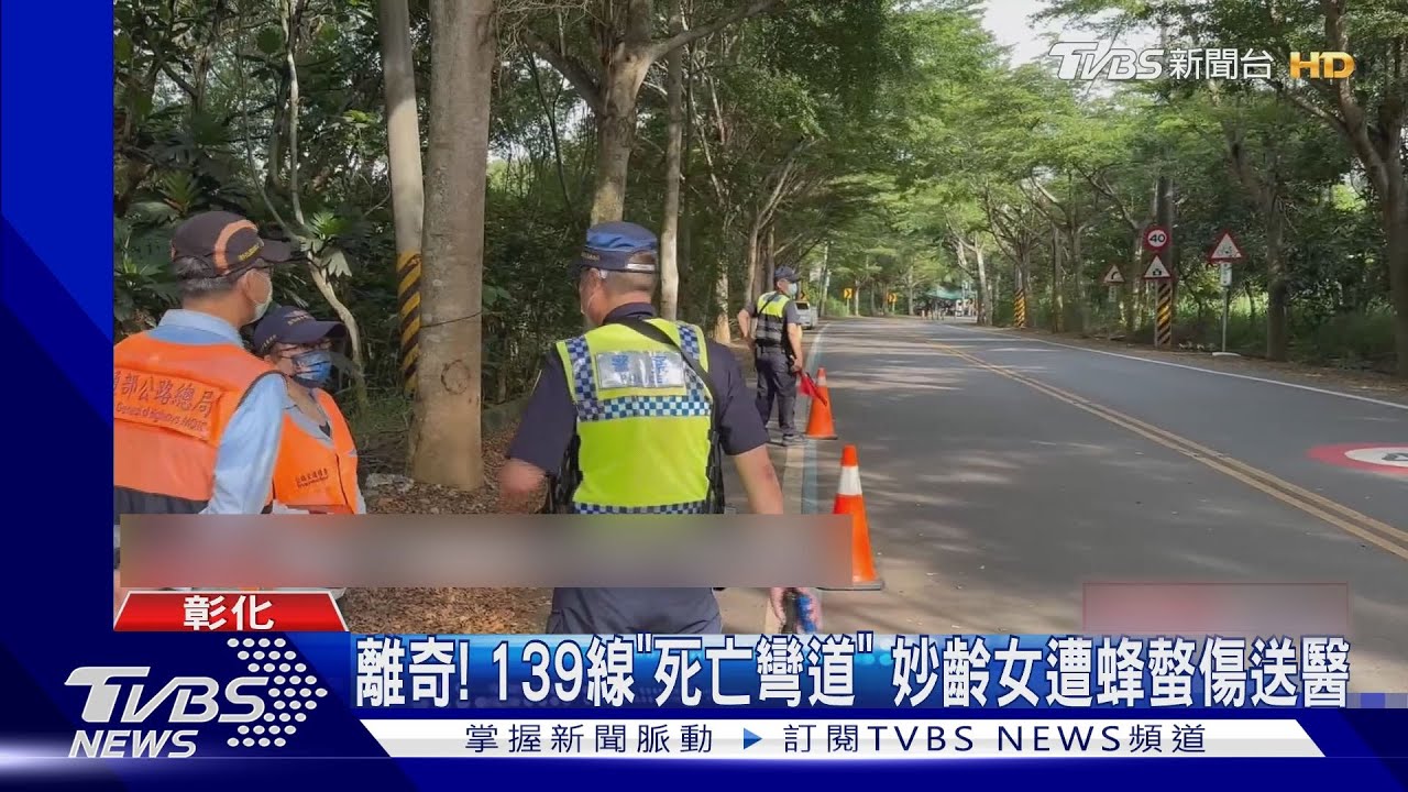不是車禍！139線「死亡彎道」重機雙載　妙齡女遭「蜜蜂螫傷」送醫
