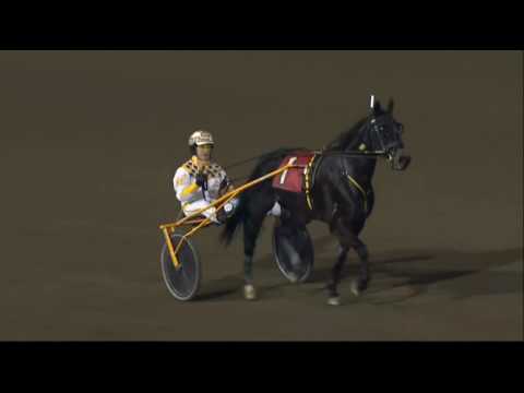 Obrigado & Mark Macdonald wins TVG Trot Open final in 1.52,4 (1.10,1) at Meadowlands.