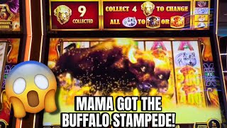😱 Mama got the BUFFALO STAMPEDE & a BIG WIN on Buffalo Gold Cash Collection 🦬 #slotmachine #yaamava