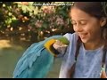Barney Animal ABC S 2008