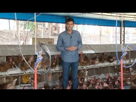 Brazilski farmeri vide priliku u ruskom embargu