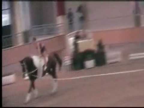 Christa Kristofics-Binder (AUT) Kür