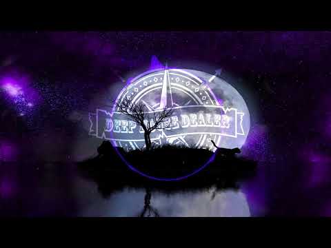 Vintage Culture, Bruno Be & Ownboss - Intro Rework (Ashibah Miracle Vox Edit)