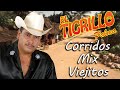 El Tigrillo Palma - Corridos Mix Viejitos