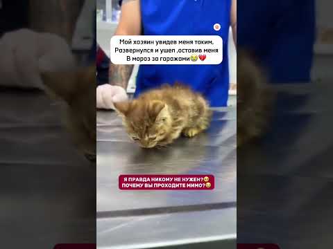 Испугавшись ответственности,в -25 оставив меня на улице ,у них хватило смелости просто уйти…