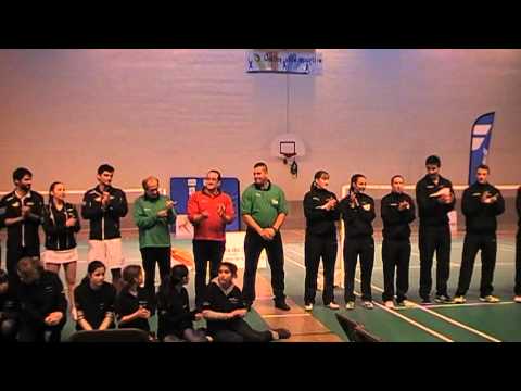 TOP 12 BADMINTON OULLINS - FOS SUR MER