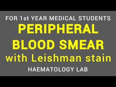 PERIPHERAL BLOOD SMEAR - LEISHMAN STAIN | HAEMATOLOGY LAB | PHYSIOLOGY