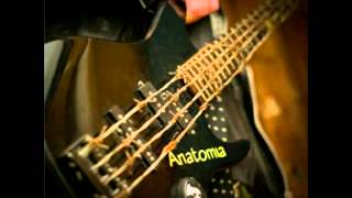 Anatomia: Tilastotappio