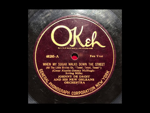 When My Sugar Walks Down The Street - Johnny De Droit & His New Orleans Jazz Orchestra (1924)