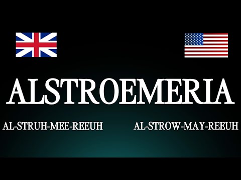 How to Pronounce 'Alstroemeria' Correctly: UK vs USA (Flower Pronunciation)