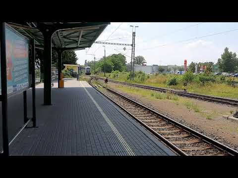 City elefant přijel na nádraží v Milovicích