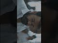 One Year Of Lucifer Mohanlal Lucifer Full Screen Status For WhatsApp