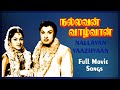 Nallavan Vaazhvaan Full Movie Songs Jukebox MGR Rajasulochana TR Pappa Pyramid Glitz Music