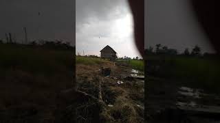 Download lagu Sp raja sedot anak unik mp3