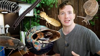 Bugs That Clean The Planet! (and eat poop) Buggin' Ep. 6