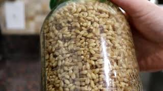 How To Make Sprouted Grain Flour - SO EASY!